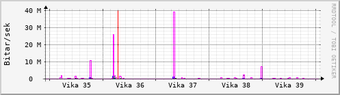 Síðustu vikur Graph
