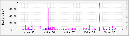 Síðustu vikur Graph