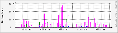 Síðustu vikur Graph