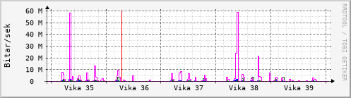 Síðustu vikur Graph