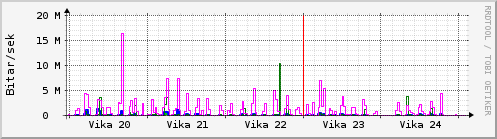 Sustu vikur Graph