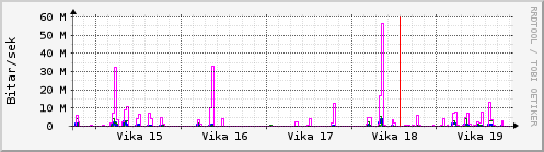 Sustu vikur Graph